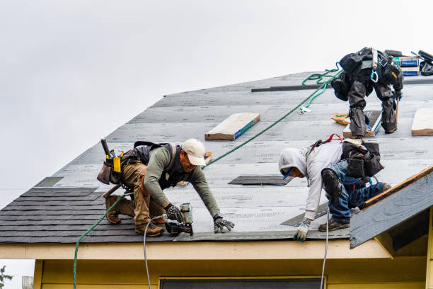 Professional Gutter Installation technician working in Lando, SC