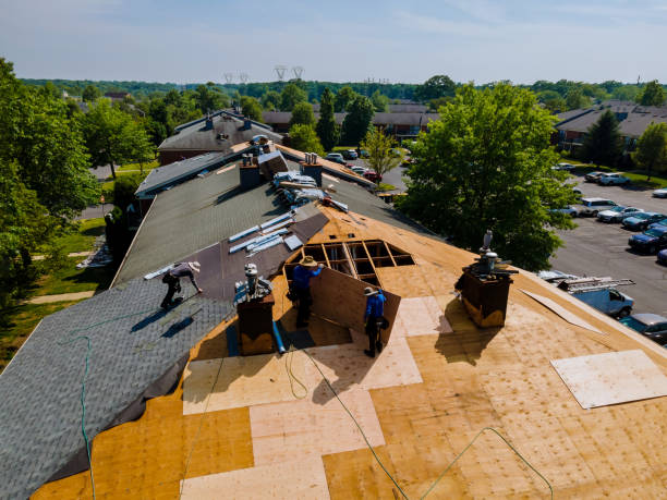 Trusted Storm Damage Roof Repair service in Lando, SC - Brentwood Metal Roofing